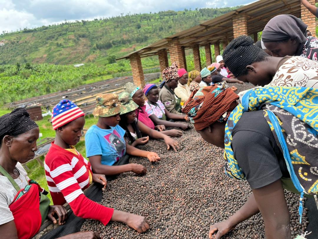 Single Origin - Rwanda