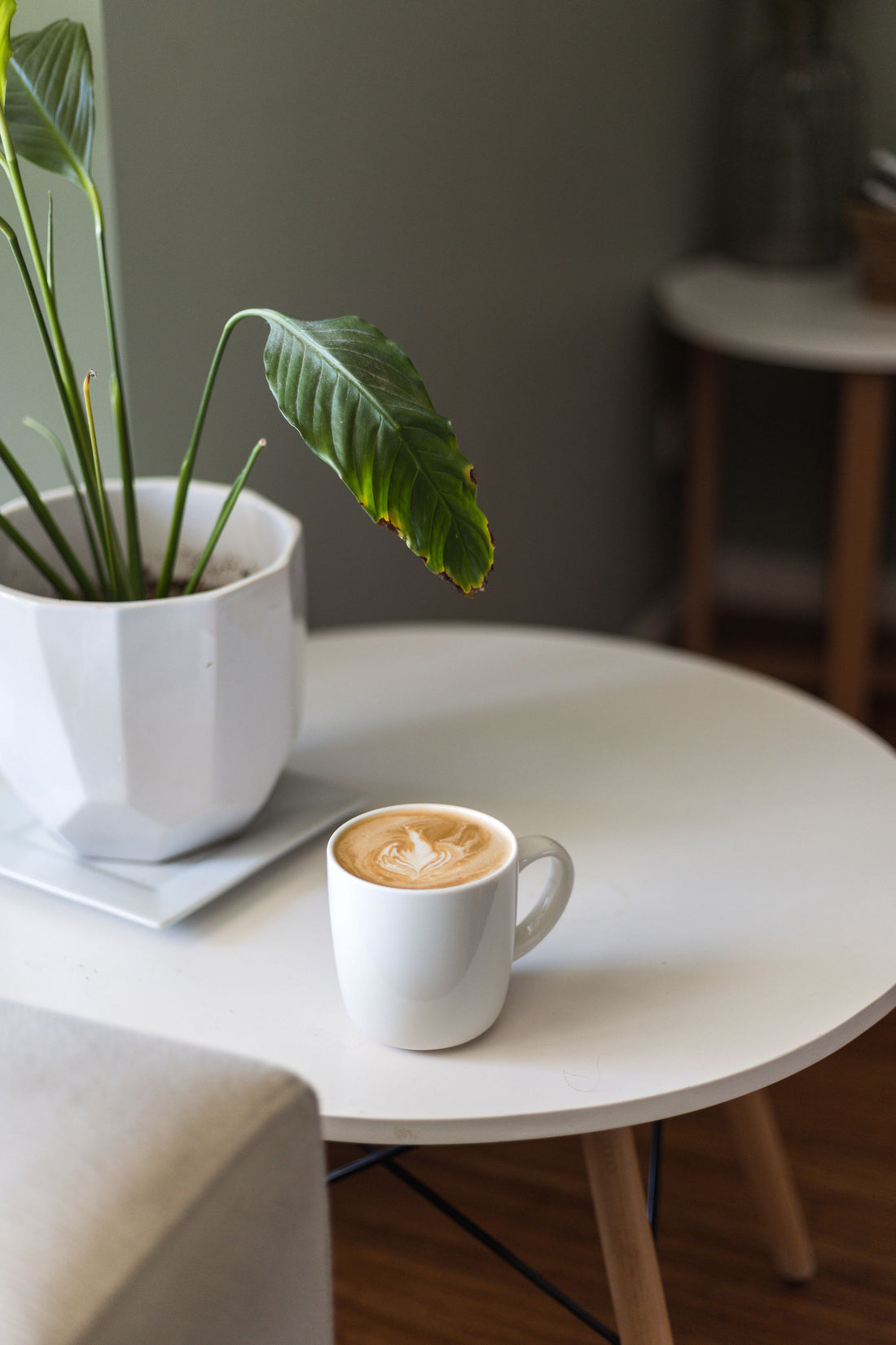 Wholesale Coffee Supplier for Cafes in Canberra