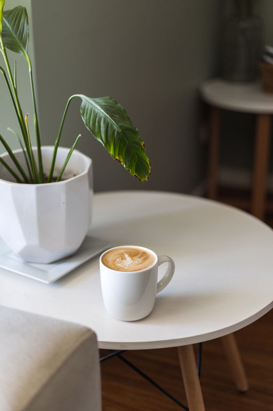 Wholesale Coffee Supplier for Cafes in Canberra